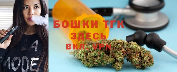 трава Няндома