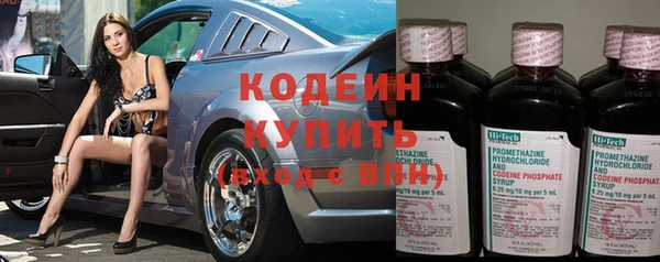 шишки Нязепетровск