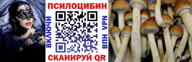 Псилоцибиновые грибы Psilocybine cubensis  Кедровый 