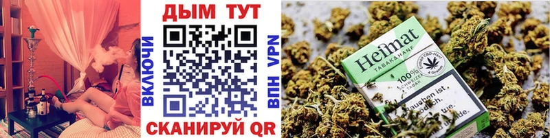 Конопля THC 21%  мега маркетплейс  Кедровый 